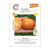 Tomatensamen, Fleischtomate 'Mandaline'
