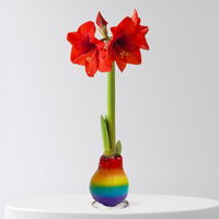 Amaryllis in Wachs, Dekor 'Rainbow', Blüte rot