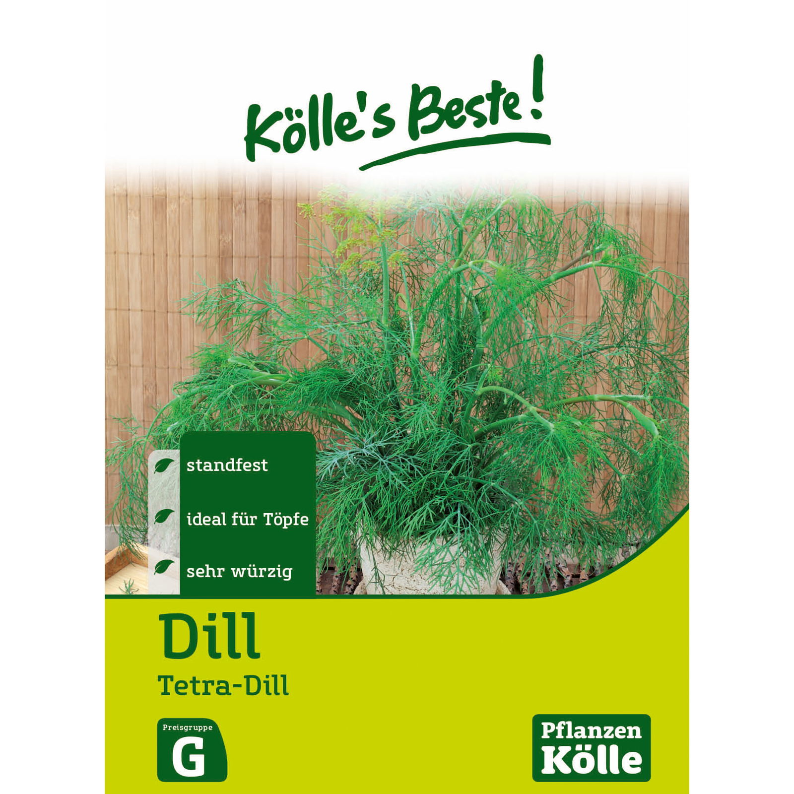 Kölle's Beste Kräutersamen Dill Tetra einjährig