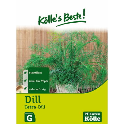 Kölles Beste Kräutersamen Dill Tetra einjährig Kölles Beste Kräutersamen Dill Tetra einjährig