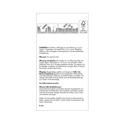 Gefranste Gladiole Passos / lila, Größe 12/14, 10 Blumenknollen Gefranste Gladiole Passos / lila, Größe 12/14, 10 Blumenknollen