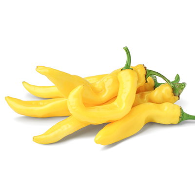 Bio Peperoni 'Gelbes Rüsselchen', Topf-Ø 12 cm, 3 Pflanzen