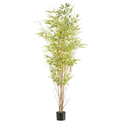 Kunstpflanze Miniblatt-Bambus, Höhe ca. 185 cm Kunstpflanze Miniblatt-Bambus, Höhe ca. 185 cm
