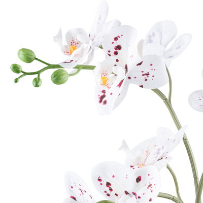 Kunstpflanze Phalaenopsis, weiß/rot, Höhe ca. 42 cm Kunstpflanze Phalaenopsis, weiß/rot, Höhe ca. 42 cm