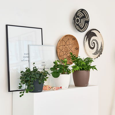 Lechuza 'Classico Color 28', muskat, ca. Ø 27,5 x H 26 cm