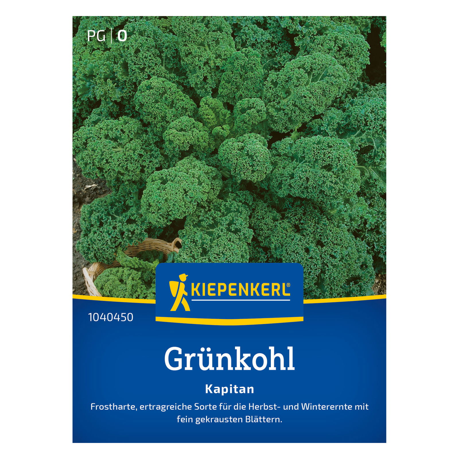 Kiepenkerl Saatgut Grünkohl 'Kapitan®', grün