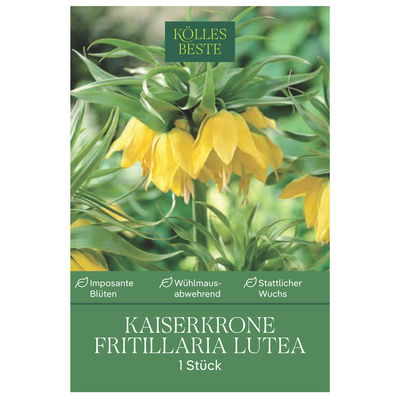 Kaiserkrone (Fritillaria Imperialis Lutea) gelb, 1 Blumenzwiebel Kaiserkrone (Fritillaria Imperialis Lutea) gelb, 1 Blumenzwiebel