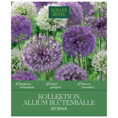 Allium Mischung, 20 Blumenzwiebeln