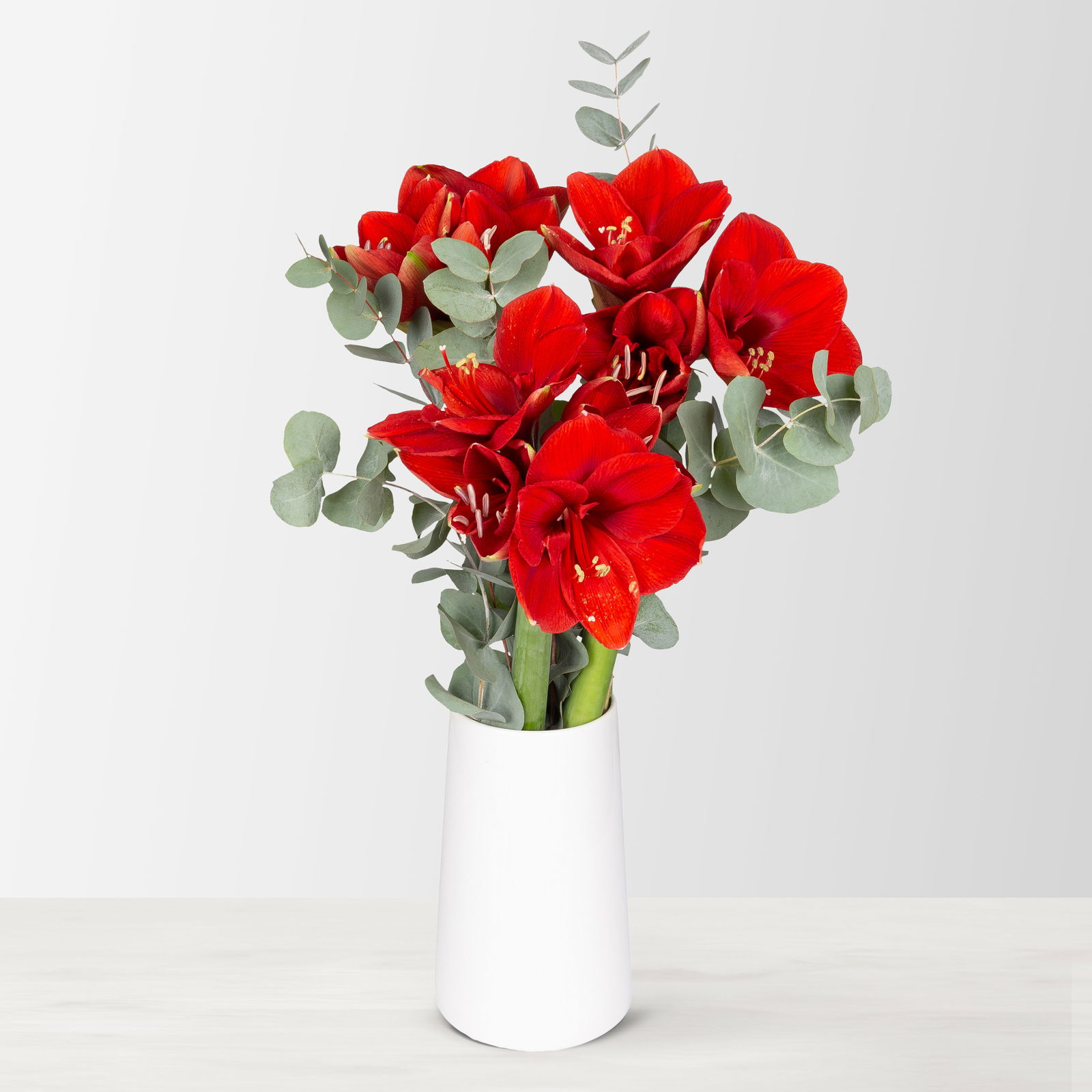 Schnittblumen-Mix aus 3 roten Amaryllis & 3 Eukalyptus