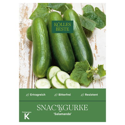 Kölles Beste Saatgut Snackgurke 'Salamanda', grün