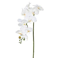 Kunstblume Orchideenzweig, creme, ca. 98 cm, 3 Stück