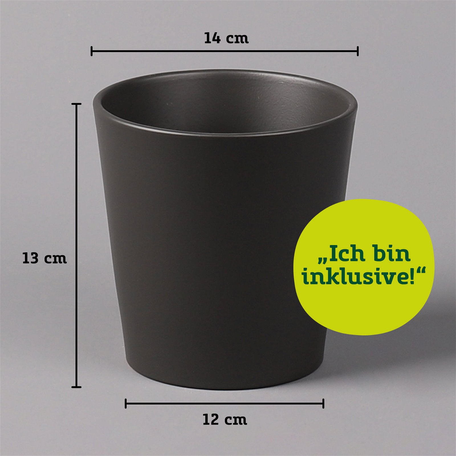 Kaffeestrauch mit Keramiktopf anthrazit, Topf-Ø 12cm, Höhe ca. 25 cm, 3er-Set