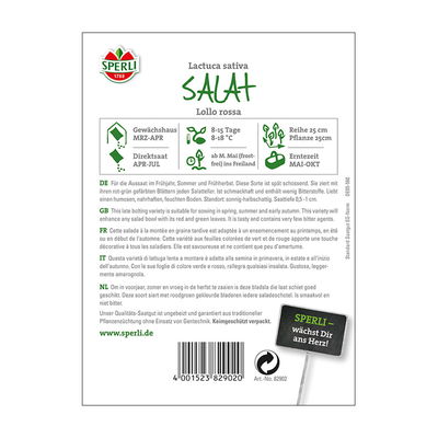 Gemüsesamen, Pflücksalat 'Lollo Rossa'
