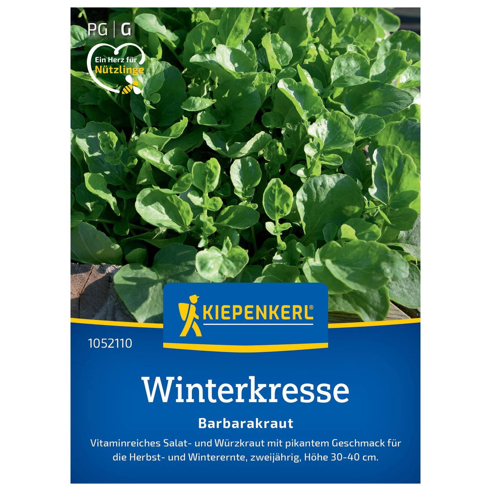 Gemüsesamen, Winterkresse, grün