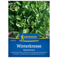 Gemüsesamen, Winterkresse, grün