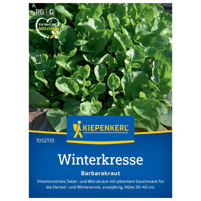 Gemüsesamen, Winterkresse, grün Gemüsesamen, Winterkresse, grün