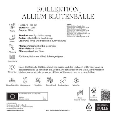 Allium Mischung, 20 Blumenzwiebeln