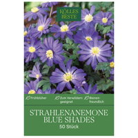Kölles Beste Strahlenanemone Blue Shades, 50 Blumenzwiebeln Kölles Beste Strahlenanemone Blue Shades, 50 Blumenzwiebeln