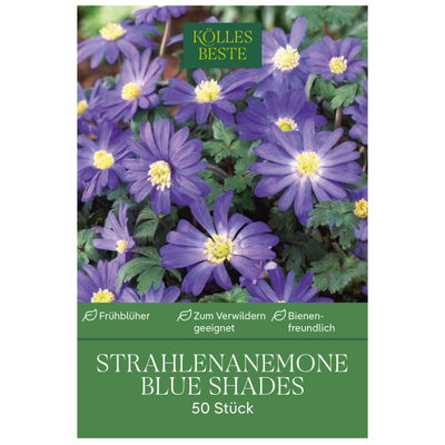 Kölles Beste Strahlenanemone Blue Shades, 50 Blumenzwiebeln Kölles Beste Strahlenanemone Blue Shades, 50 Blumenzwiebeln