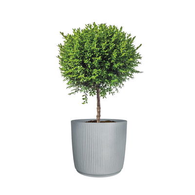 Scheurich Pflanzgefäß 'Linetto', grau, ca. Ø 39 x H 35 cm