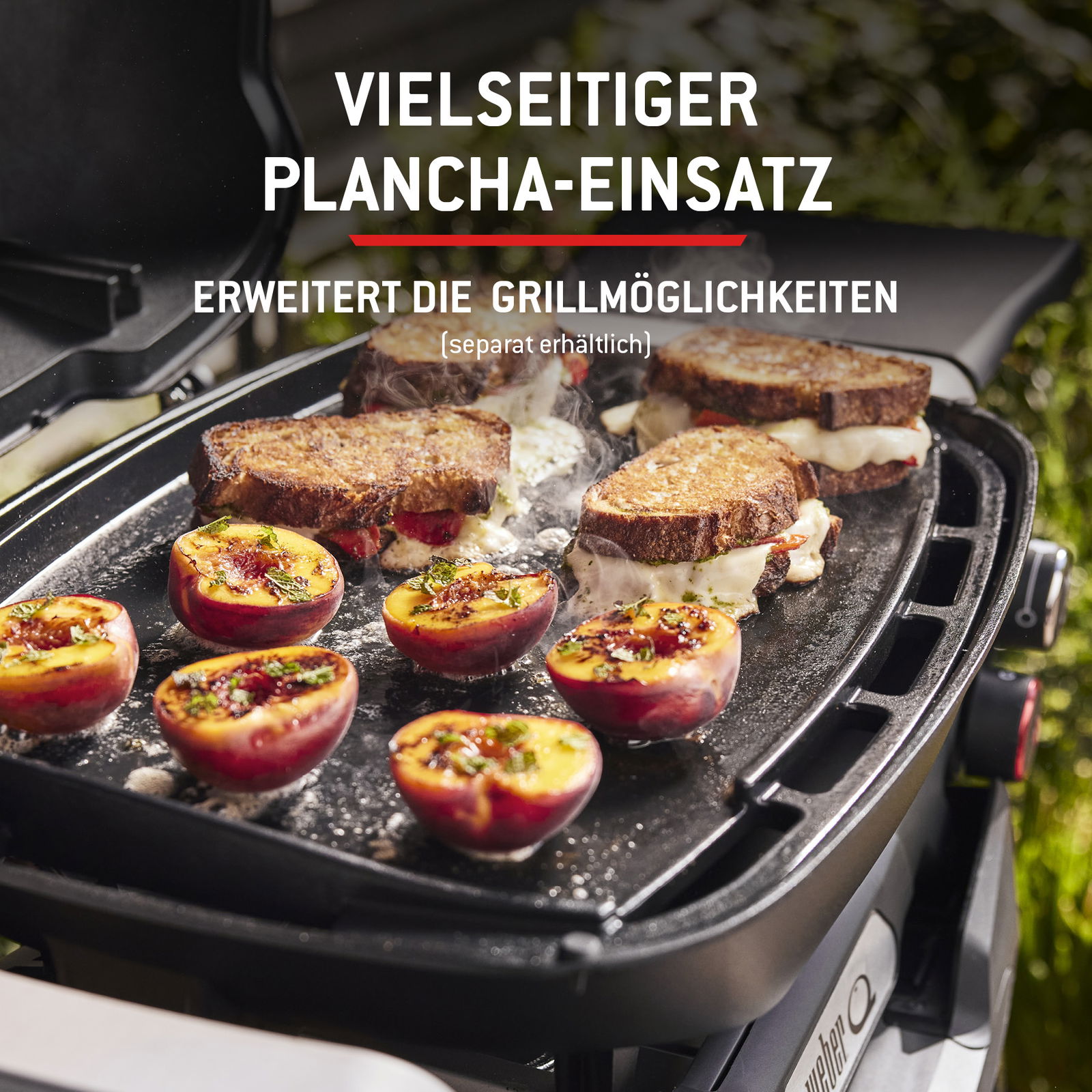 Weber Gasgrill 'Q2800N+' inkl. Rollwagen, schwarz Weber Gasgrill 'Q2800N+' inkl. Rollwagen, schwarz