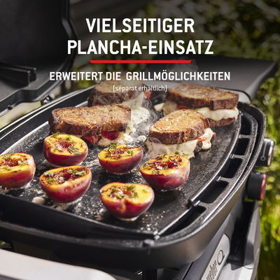 Weber Gasgrill 'Q2800N+' inkl. Rollwagen, schwarz Weber Gasgrill 'Q2800N+' inkl. Rollwagen, schwarz