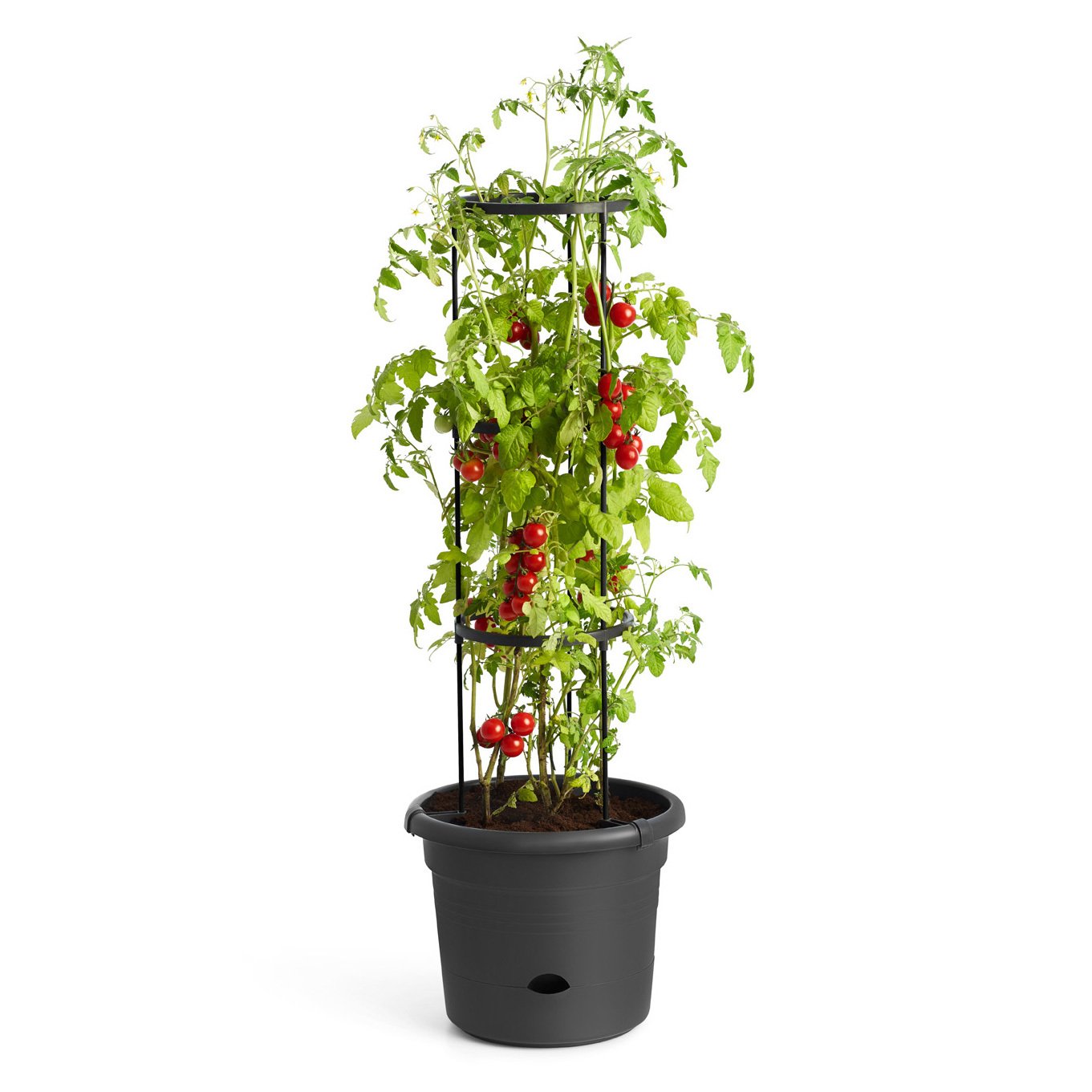 Tomatentopf „Green Basics“ in Living Black von Elho, Maße D 33 x H 25, 13 Liter