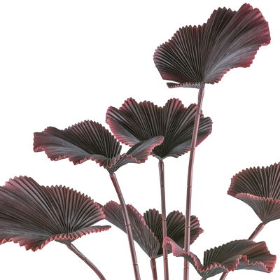 Kunstpflanze Strahlenpalme, dunkelrot, Höhe ca. 100 cm Kunstpflanze Strahlenpalme, dunkelrot, Höhe ca. 100 cm