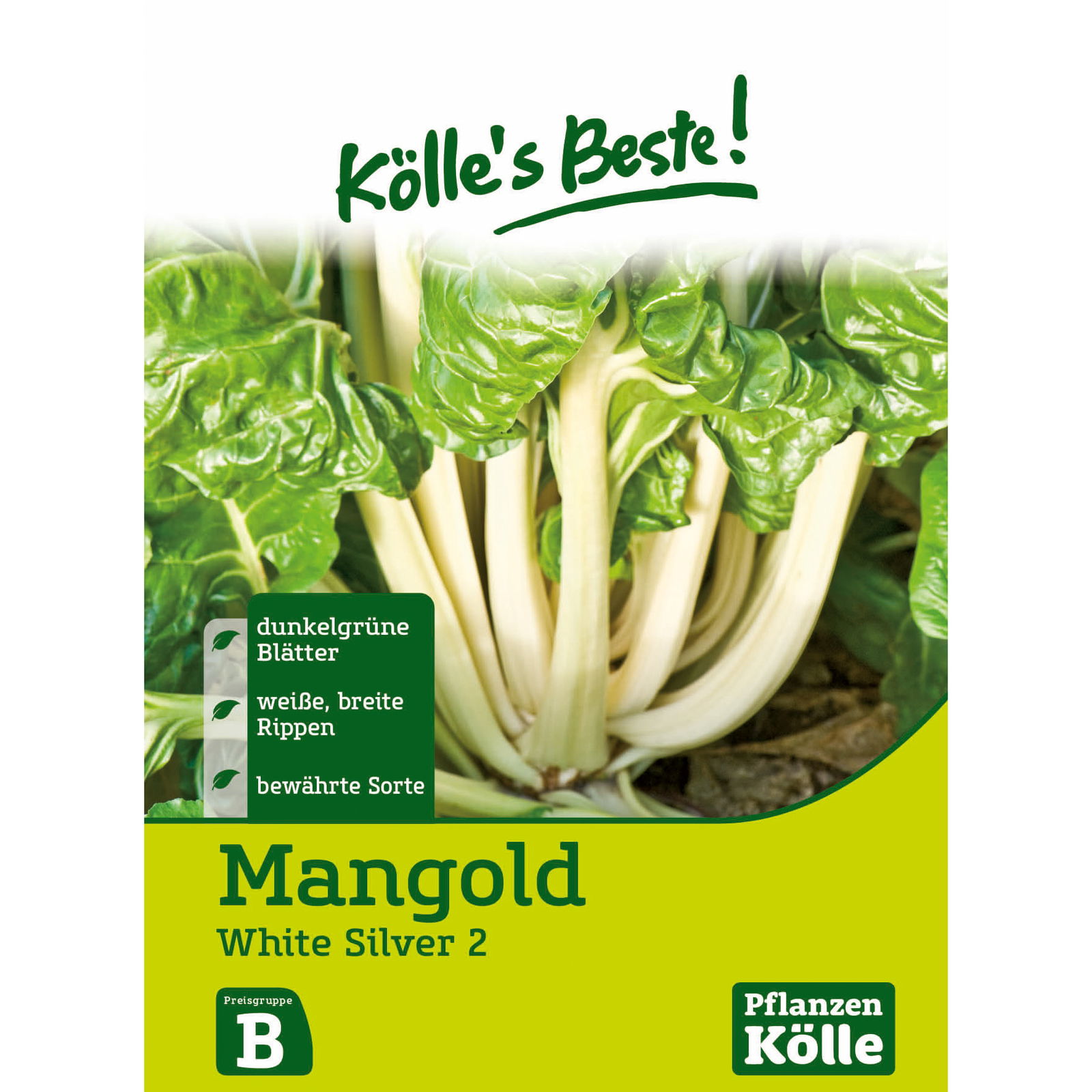 Kölle's Beste Gemüsesamen Mangold 