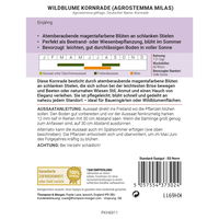 Thompson & Morgan Wildblume Kornrade, lila Thompson & Morgan Wildblume Kornrade, lila
