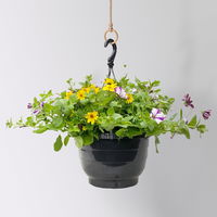 gemischte Sommerblumen-Ampel, Farbe/n nach Verfügbarkeit, Ampeltopf-Ø 25/27 cm
