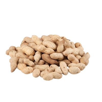 Kölle's Beste Vogel-Snack Erdnüsse in Schale Kölle's Beste Vogel-Snack Erdnüsse in Schale