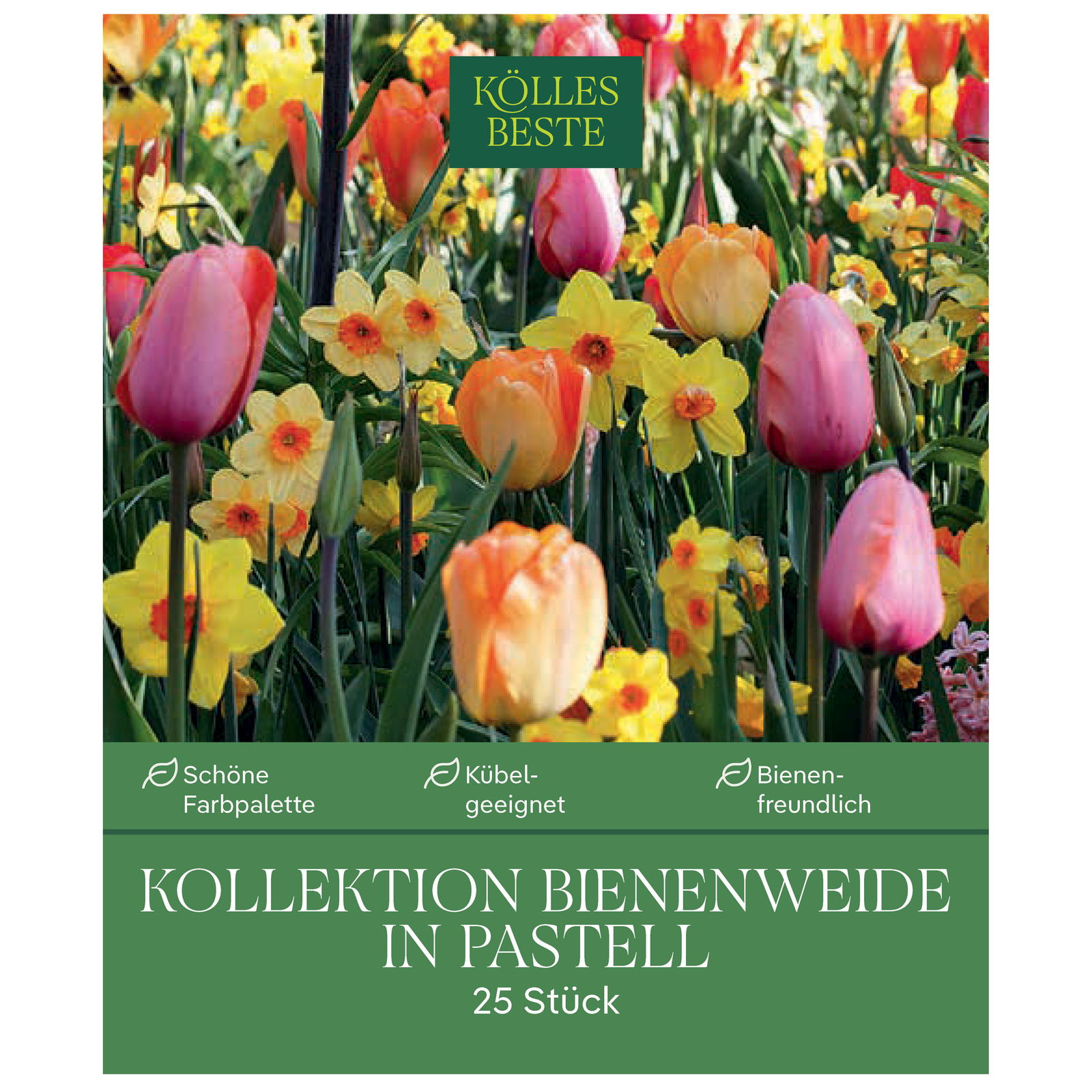 Bienenweide-Mischung in pastell Bienenweide-Mischung in pastell