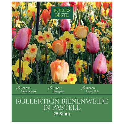 Bienenweide-Mischung in pastell Bienenweide-Mischung in pastell