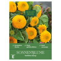 Kölles Beste Blumensamen, Sonnenblume 'Gefüllter Zwerg'