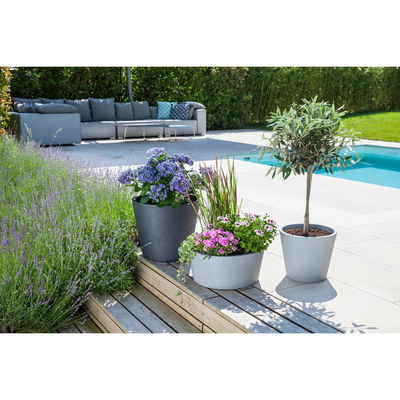 Scheurich Pflanzgefäß 'C-Cone', Stony Grey, ca. Ø 29 x H 24,5 cm Scheurich Pflanzgefäß 'C-Cone', Stony Grey, ca. Ø 29 x H 24,5 cm