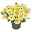 Petunie 'Capella™ 'Hello Yellow' zitronengelb, hängend, Topf-Ø 13 cm, 6er-Set