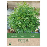 Kölle Bio Saatgut Kerbel 'Fijne Krul', grün Kölle Bio Saatgut Kerbel 'Fijne Krul', grün