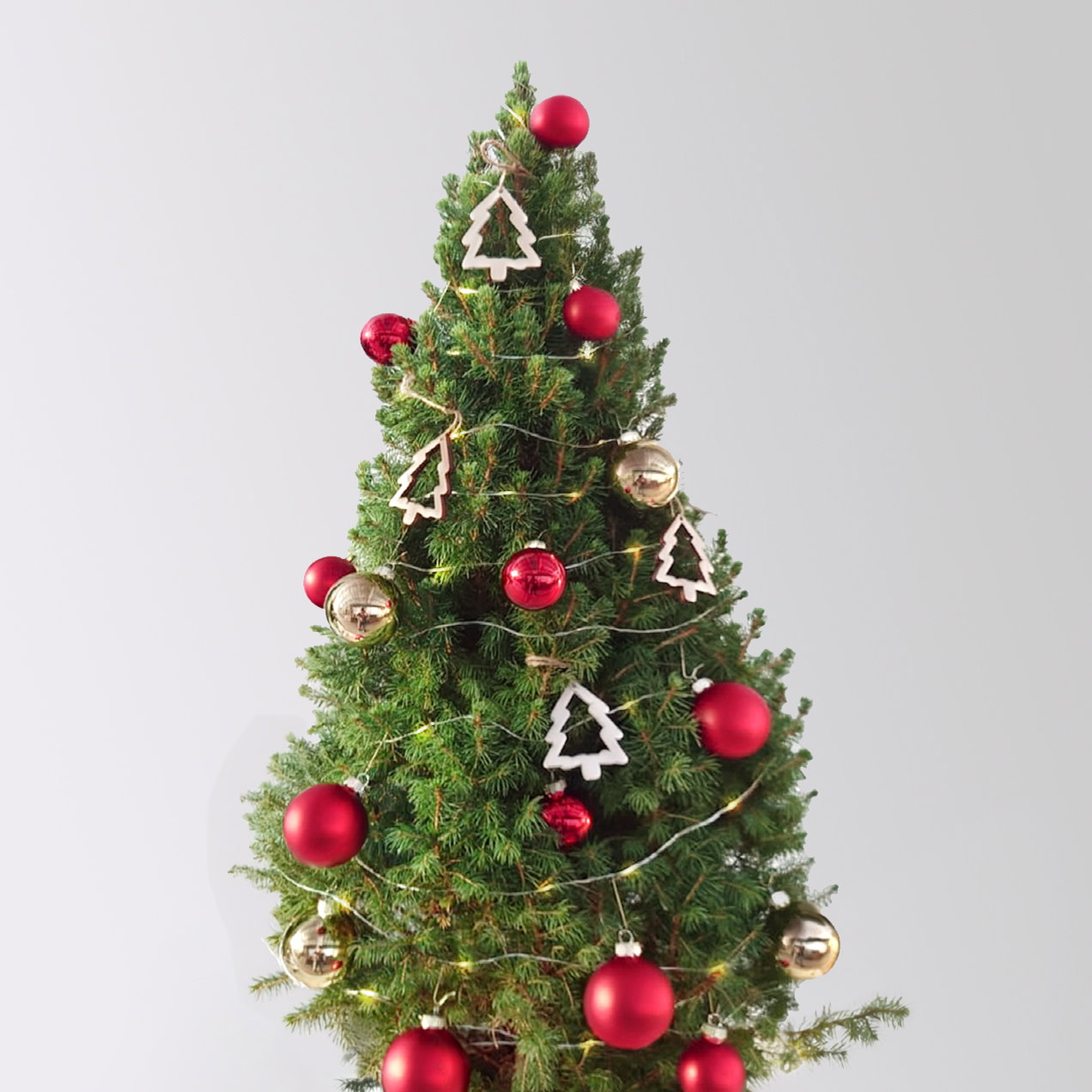 Weihnachtsbäumchen inkl. Deko, rot-gold, Höhe ca. 80 cm, Topf-Ø 25 cm Weihnachtsbäumchen inkl. Deko, rot-gold, Höhe ca. 80 cm, Topf-Ø 25 cm