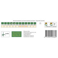 Kölles Beste Blumenknolle, Dekorative Dahlie 'Seniors Darkness'