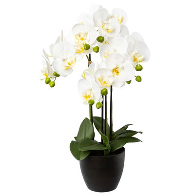 Kunstpflanze Phalaenopsis, weiß, Höhe ca. 55 cm