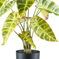 Künstliche Alocasia longiloba, grüngelb, Höhe ca. 45 cm