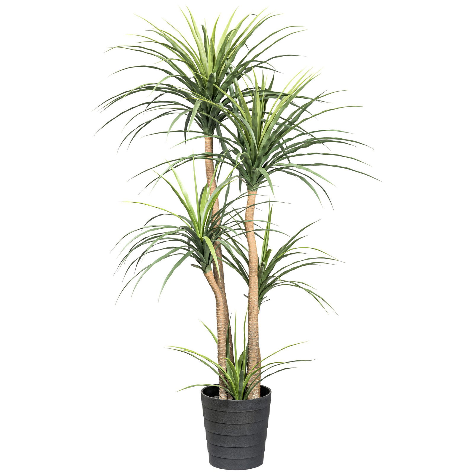 Künstliche Dracaena, Höhe ca. 160 cm