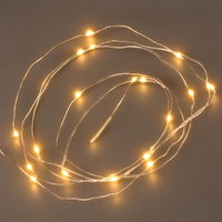 LED Silberdraht, klassisch warm, 20 LEDs, Länge ca. 1,8 m LED Silberdraht, klassisch warm, 20 LEDs, Länge ca. 1,8 m
