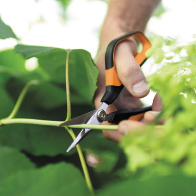 Gartenschere 'Solid', schwarz/orange