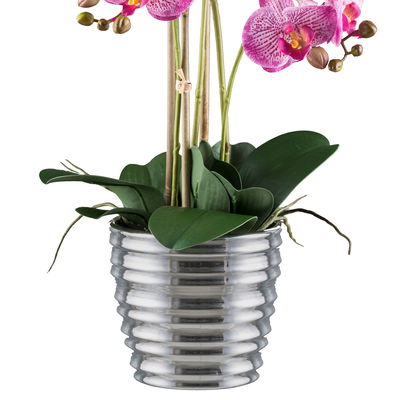 Kunstpflanze Phalaenopsis, pink/silber, Höhe ca. 62 cm Kunstpflanze Phalaenopsis, pink/silber, Höhe ca. 62 cm