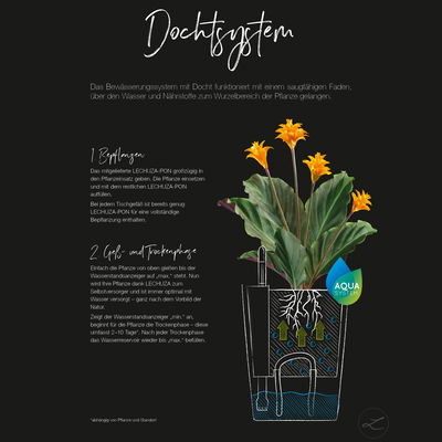 Lechuza 'Mini-Deltini', anthrazit, ca. 10 x 10 x H 13 cm