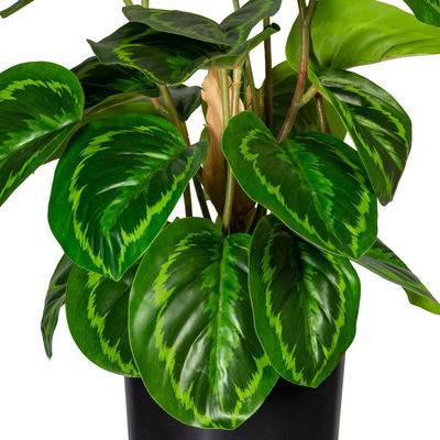 Künstliche Maranta, Höhe ca. 45 cm Künstliche Maranta, Höhe ca. 45 cm