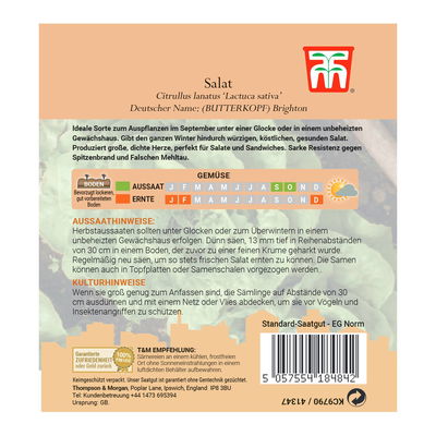 Gemüsesamen, Butterkopfsalat 'Brighton', grün, 75 Stück