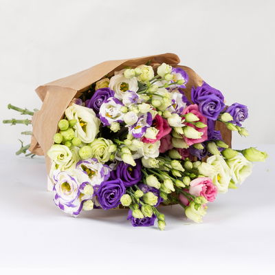 10 Lisianthus, bunt 10 Lisianthus, bunt